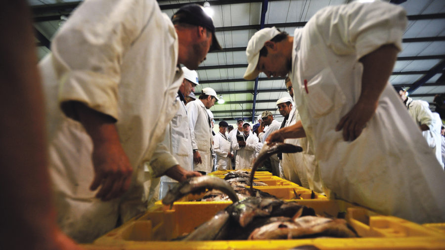 food-thought-seafood-capital