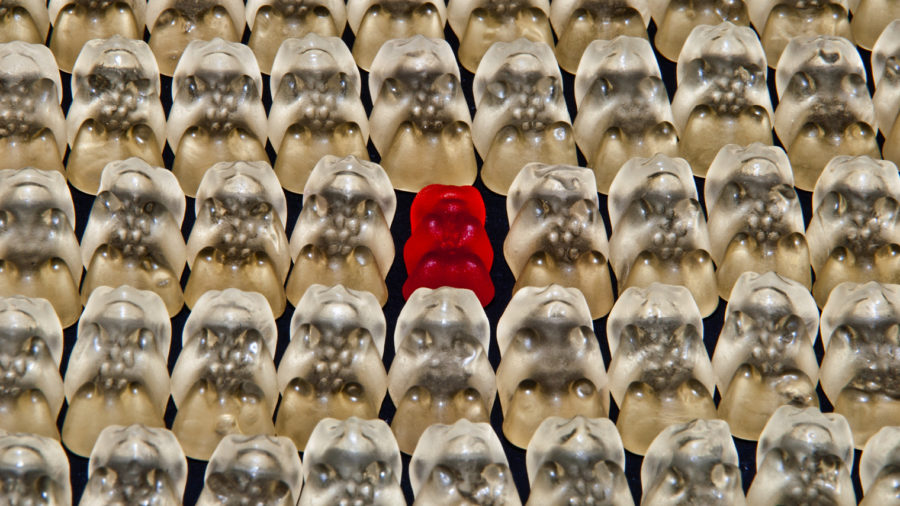 diversity-inclusion-wider-scope