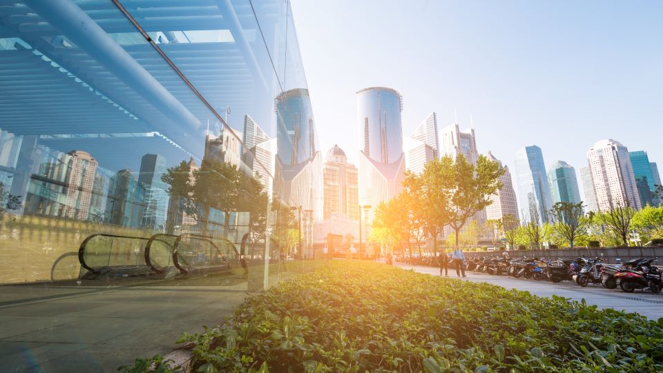 Taking the long view in sustainability leadership