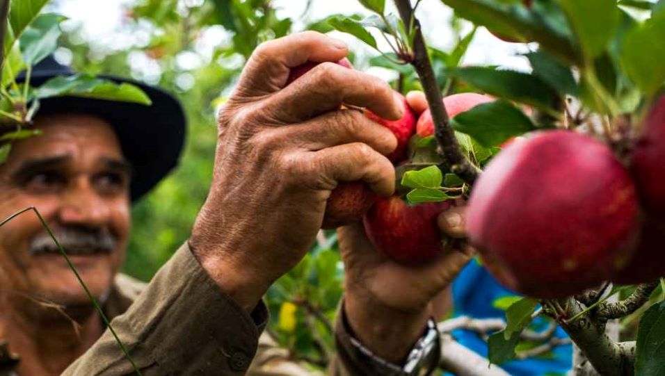 Driving ESG through the supply chain
