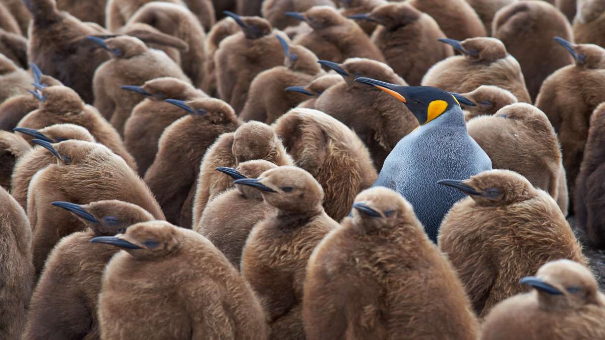  How sustainable companies large and small are challenging industry norms