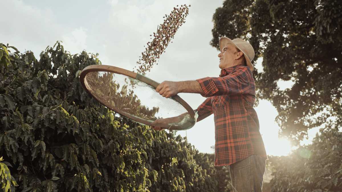 Taking action against climate change