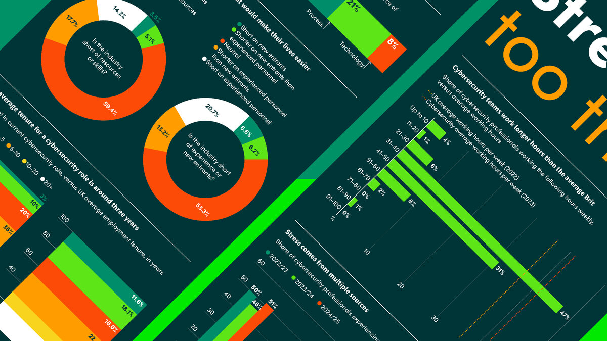 A display of various chart from the cybersecurity infographic